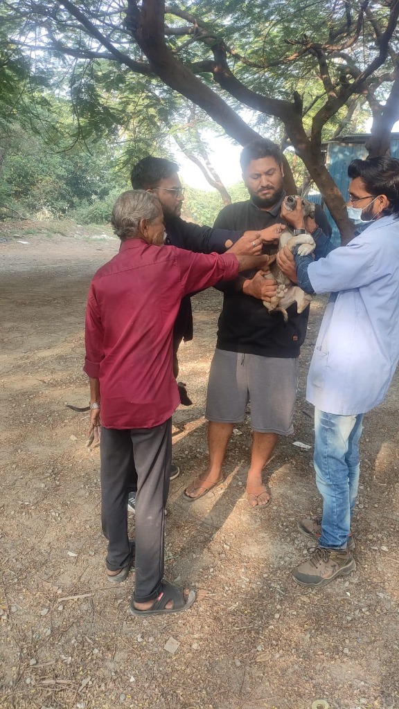 Simba Animal Save team and local residents safely caring for street dog